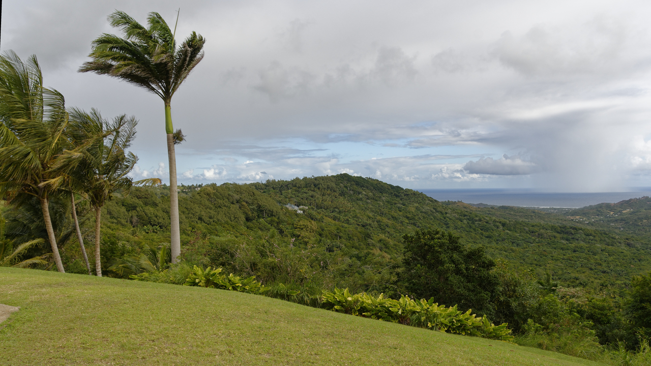 20190202-090134••Welchman Hall•Saint Thomas•Barbados